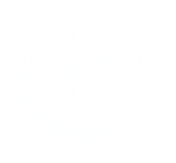 Artemis Divorce Coaching